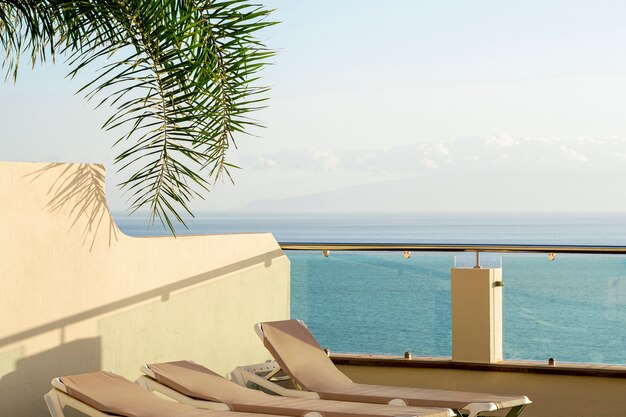 Chaises longues avec cocotier au bord de la mer