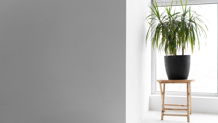 Photo gratuit chambre moderne vide avec des meubles