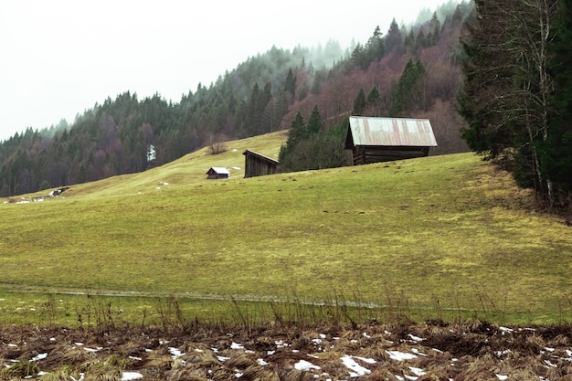 Champ avec deux granges en bois entourées de forêts couvertes de brouillard sous le ciel nuageux