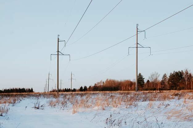 Champ enneigé avec arbres et lignes électriques un jour d'hiver