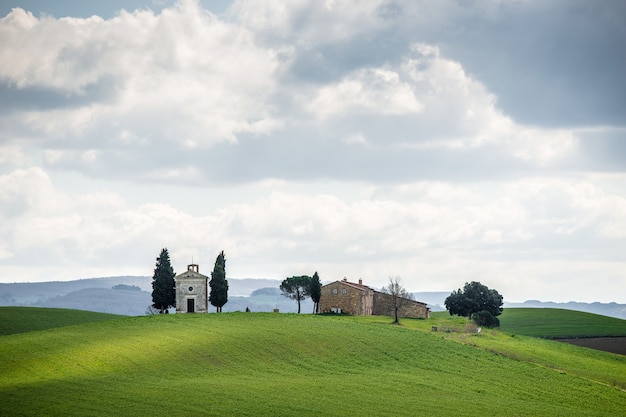 Champ herbeux avec des arbres et des bâtiments au loin sous un ciel nuageux