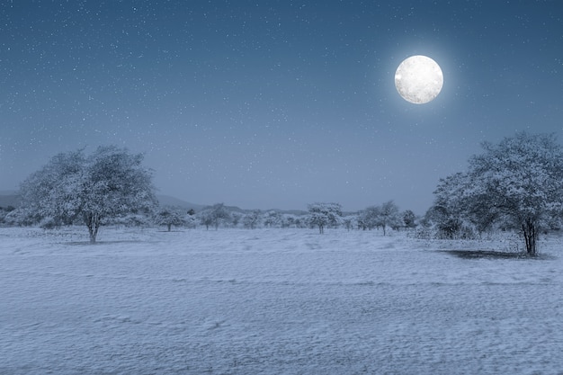 Photo gratuite champ de neige avec la pleine lune la nuit