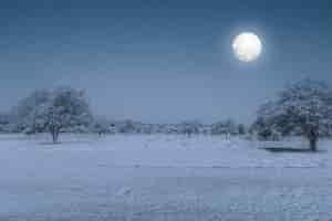 Photo gratuite champ de neige avec la pleine lune la nuit