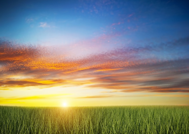 Photo gratuit champ vert au coucher du soleil