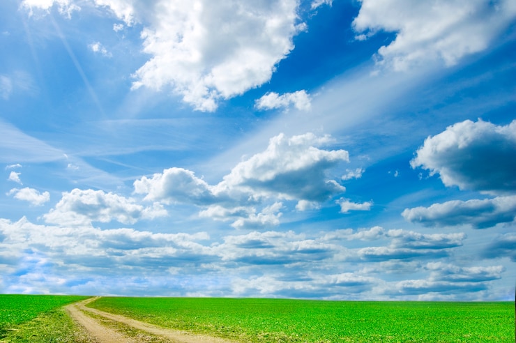 Photo gratuit champ vert avec des nuages