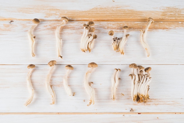 Champignon comestible sur table en bois