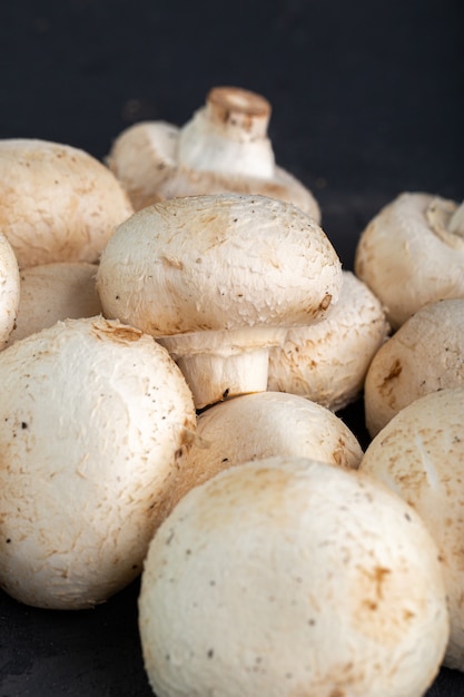 Champignons blancs mûrs sur fond sombre