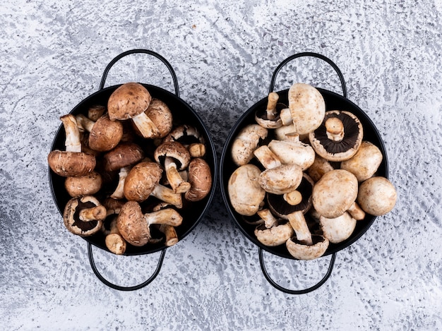 Champignons bruns et blancs chacun dans un pot