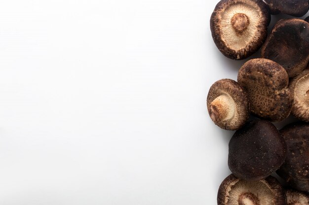 Champignons bruns sur fond blanc