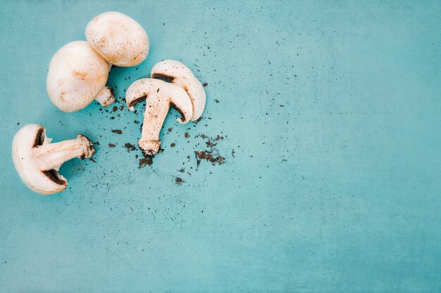 Photo gratuite champignons et espace à droite