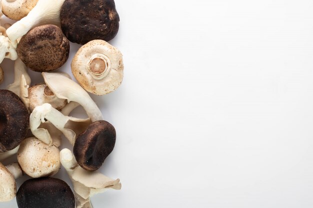 Champignons fraîchement récoltés champignons blancs et noirs sur le sol blanc