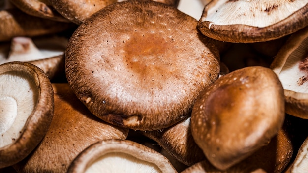 Photo gratuite champignons sains et frais à vendre