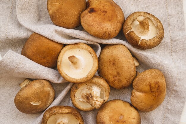 Champignons sur une serviette blanche