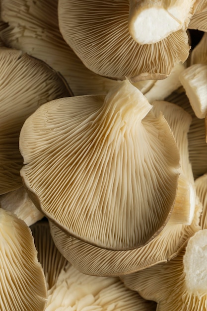 Champignons vue de dessus se bouchent