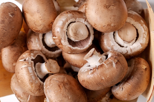 Champignons