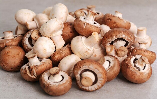 Champignons