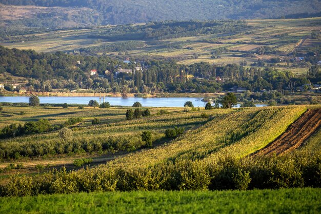 Champs semés, verdure luxuriante, rivière qui coule au loin et un village près du rivage en Moldavie