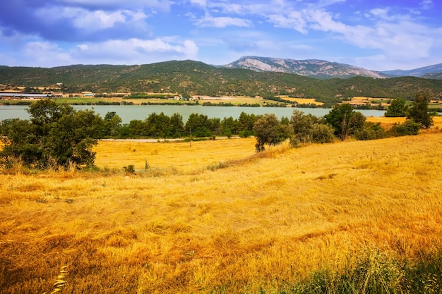 Champs à la vallée de la rivière