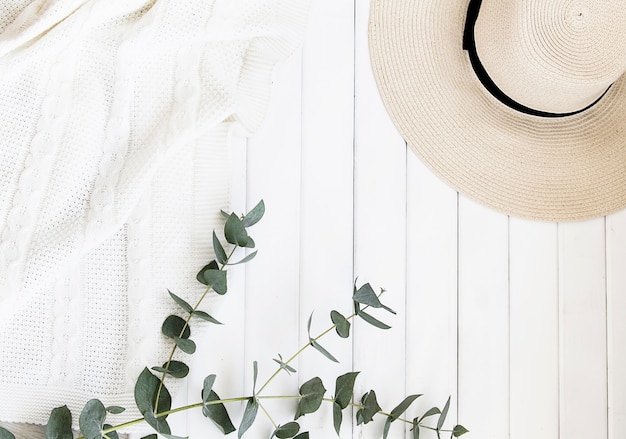 Chapeau d'été et feuilles d'eucalyptus sur fond clair.