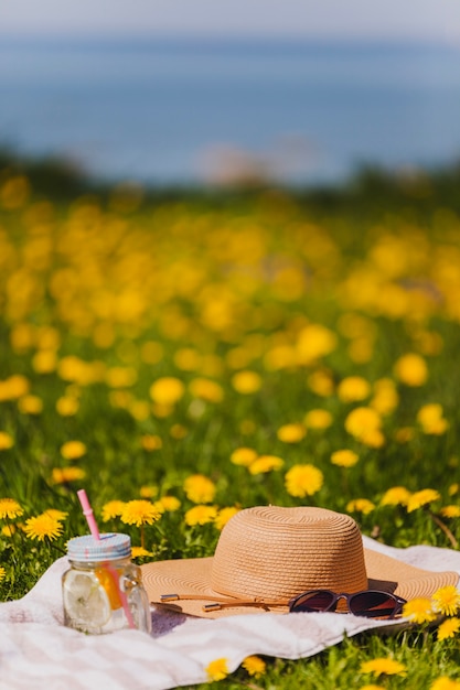 Photo gratuite chapeau et lunettes de soleil sur l'herbe