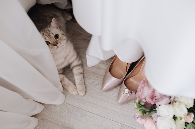 Chat gris près de rideaux, alliances, bouquet et chaussures sur le sol