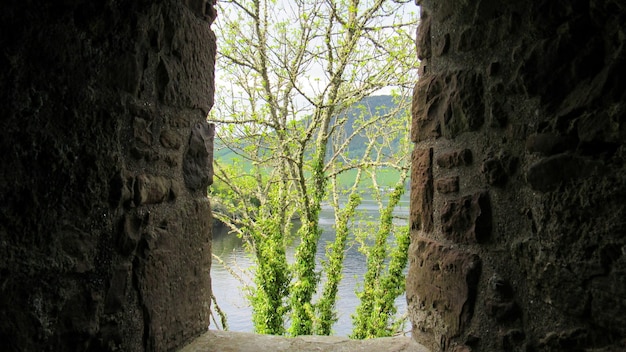 Photo gratuite château d'urquhart en ecosse royaume-uni