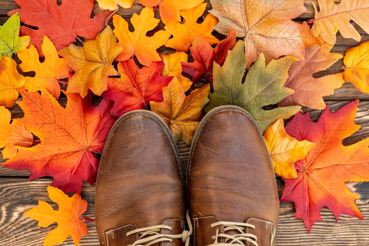 Photo gratuit chaussures marron sur des feuilles colorées