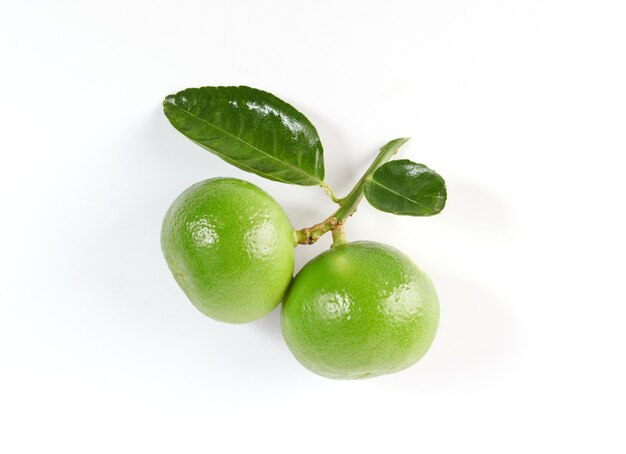 Chaux. Fruits frais avec des feuilles isolées sur une surface blanche. Il est fraîchement cueilli dans un jardin biologique de croissance domestique. Concept de nourriture.