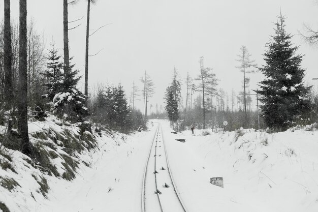 Chemin de fer et bois dans la neige