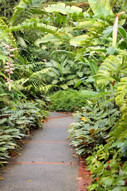 Chemin vert