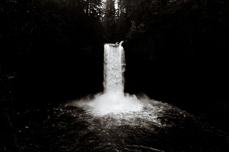 Photo gratuit cher abiqua