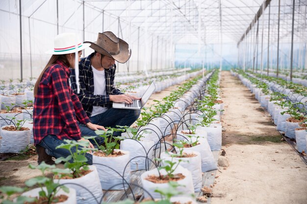 Chercheur agricole avec la tablette inspecter lentement les plantes.