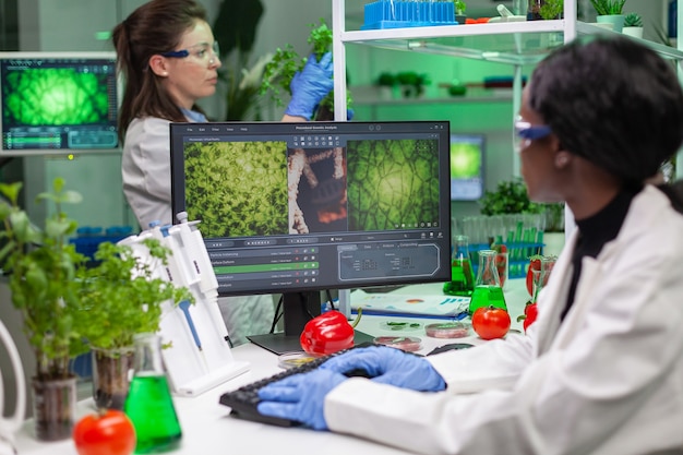 Photo gratuite chercheur biologiste tapant l'expertise des ogm sur ordinateur pour une expérience de microbiologie scientifique