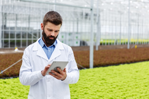 Un chercheur mâle barbu étudie les plantes avec une tablette debout dans la serre