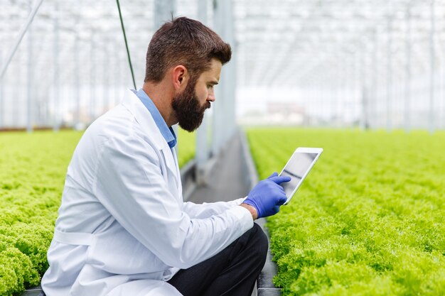 Un chercheur mâle barbu étudie les plantes avec une tablette debout dans la serre