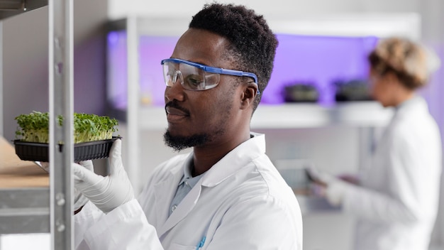 Chercheur masculin dans le laboratoire avec des lunettes de sécurité et des plantes