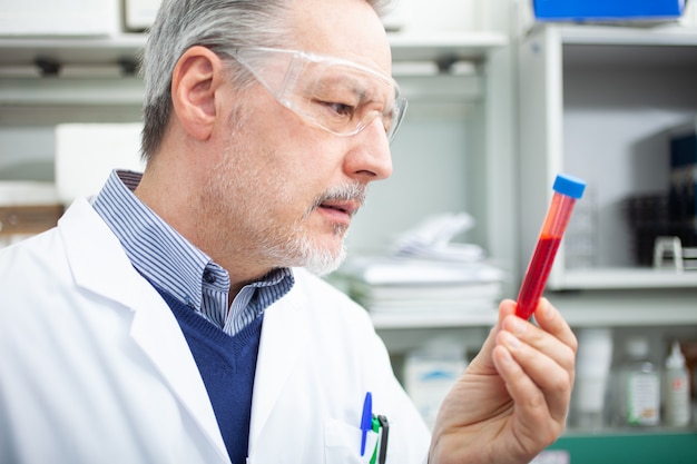 Chercheur scientifique médical regardant un tube de sang, test sanguin de coronavirus