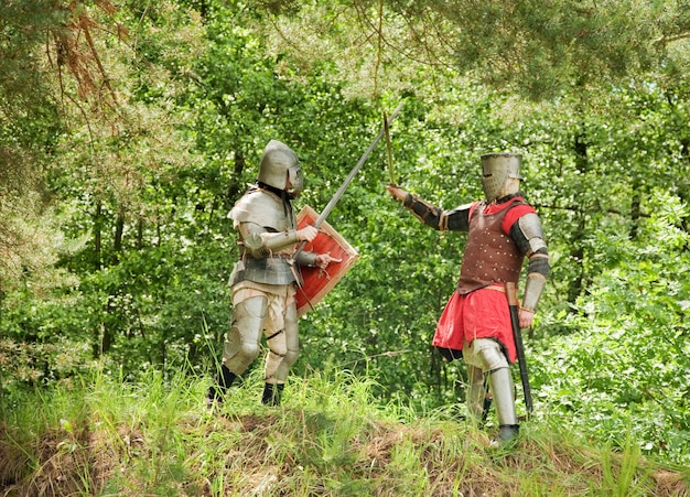 chevaliers combattants