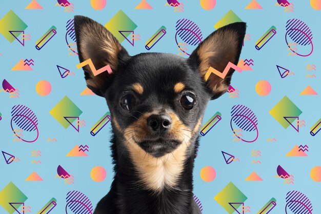Un chien adorable avec un arrière-plan graphique abstrait et coloré