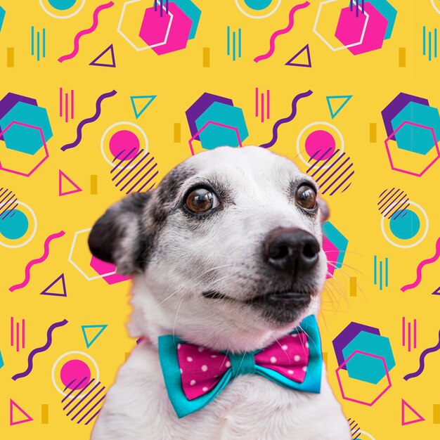 Un chien adorable avec un arrière-plan graphique abstrait et coloré