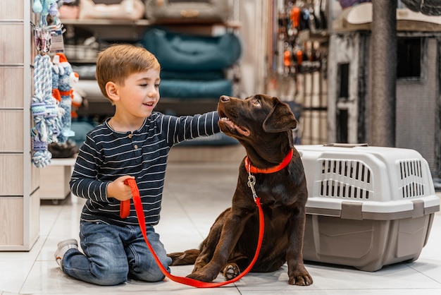 Photo gratuite chien brun mignon à l'animalerie