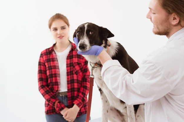 Photo gratuite chien effrayé assis au bureau du vétérinaire. chiot effrayé se faire examiner chez le vétérinaire avec son propriétaire en attente