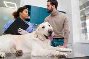 Photo gratuite chien mignon à coup moyen à la clinique vétérinaire
