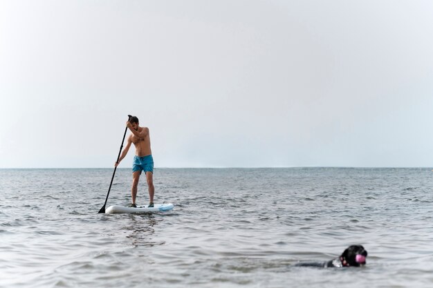 Chien s'amusant à la plage