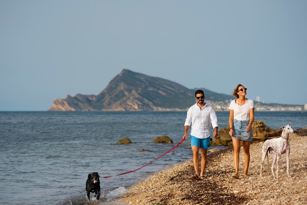 Chien s'amusant à la plage