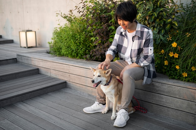 Photo gratuite chien shiba inu se promenant