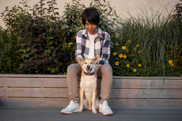 Chien shiba inu se promenant