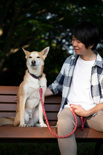 Chien shiba inu se promenant