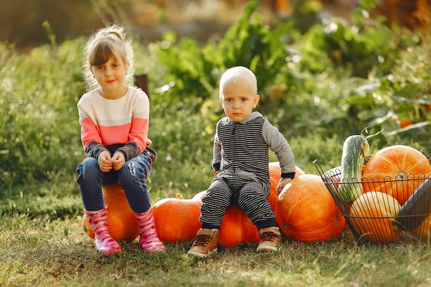 Childresn mignon assis sur un jardin près de nombreuses citrouilles