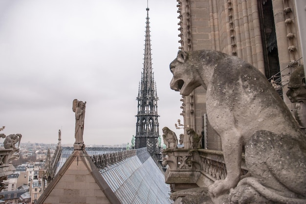 Chimère de la Cathédrale Notre Dame de Paris